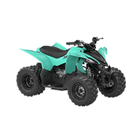 YFZ50