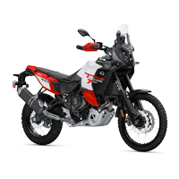 TÉNÉRÉ 700 WORLD RAID