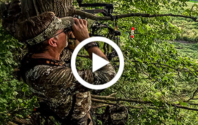 Click to play Whitetail Deer Hunting in Kentucky