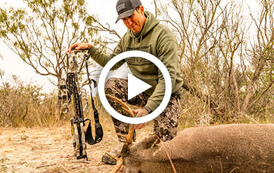 Click to play Whitetail Hunting with Crossbows