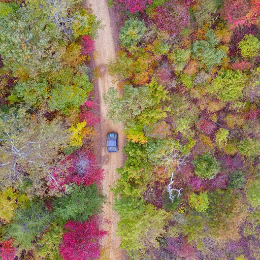 Windrock's Tennessee Trails Image 0