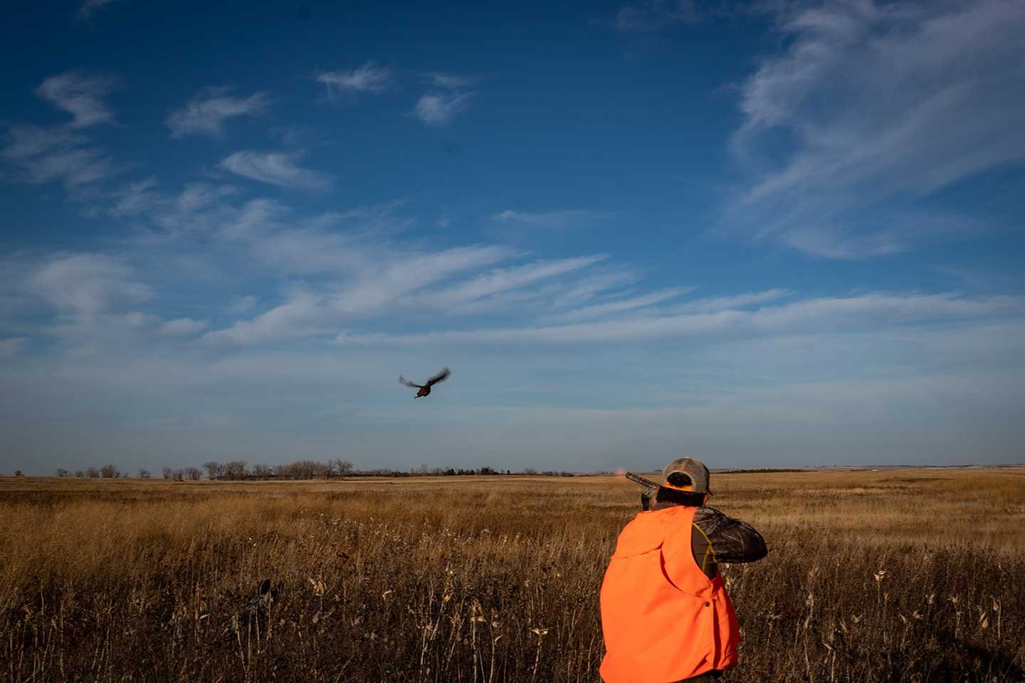Pheasant, Duck, Goose, Buffalo, Coyote and Deer Hunting Image 0