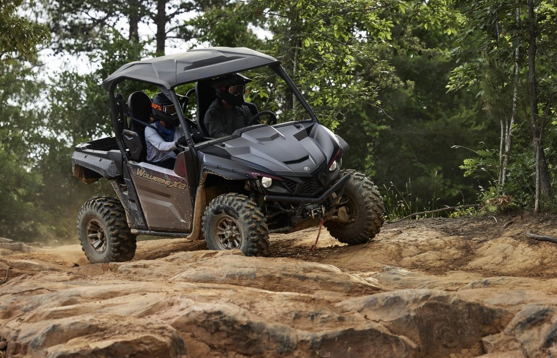 Explore St. Helen Image 0