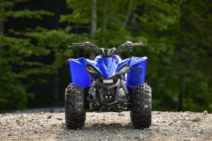 YFZ50 Details 3