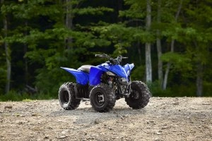 YFZ50 Beauty