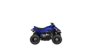 YFZ50 Studio