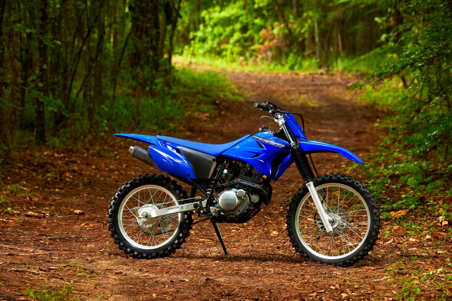 2023 TT-R230 - Key Features | Yamaha Motorsports, USA