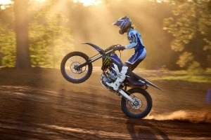 YZ250FME Action  6