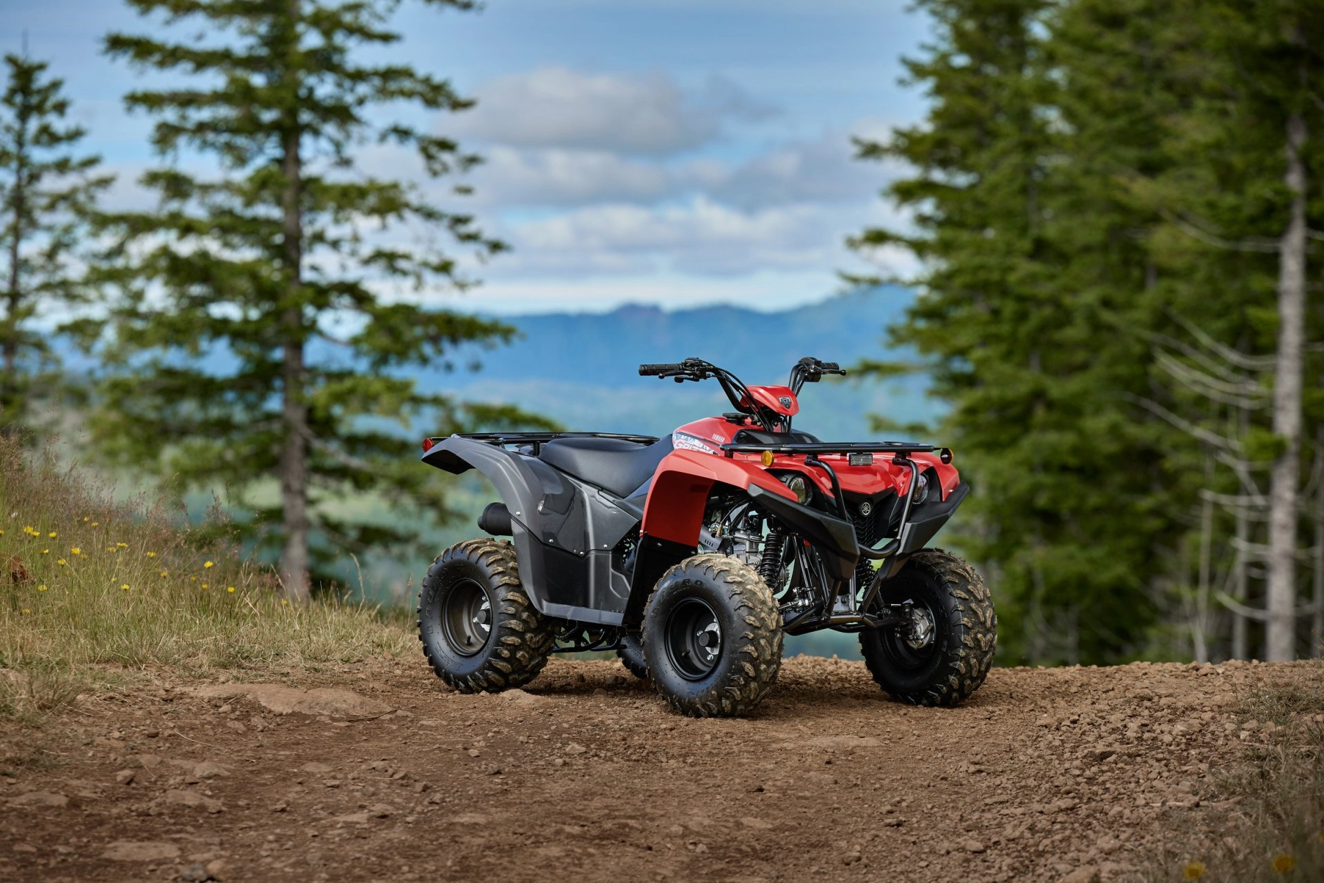 2025 GRIZZLY 110 Specifications Yamaha Motorsports, USA