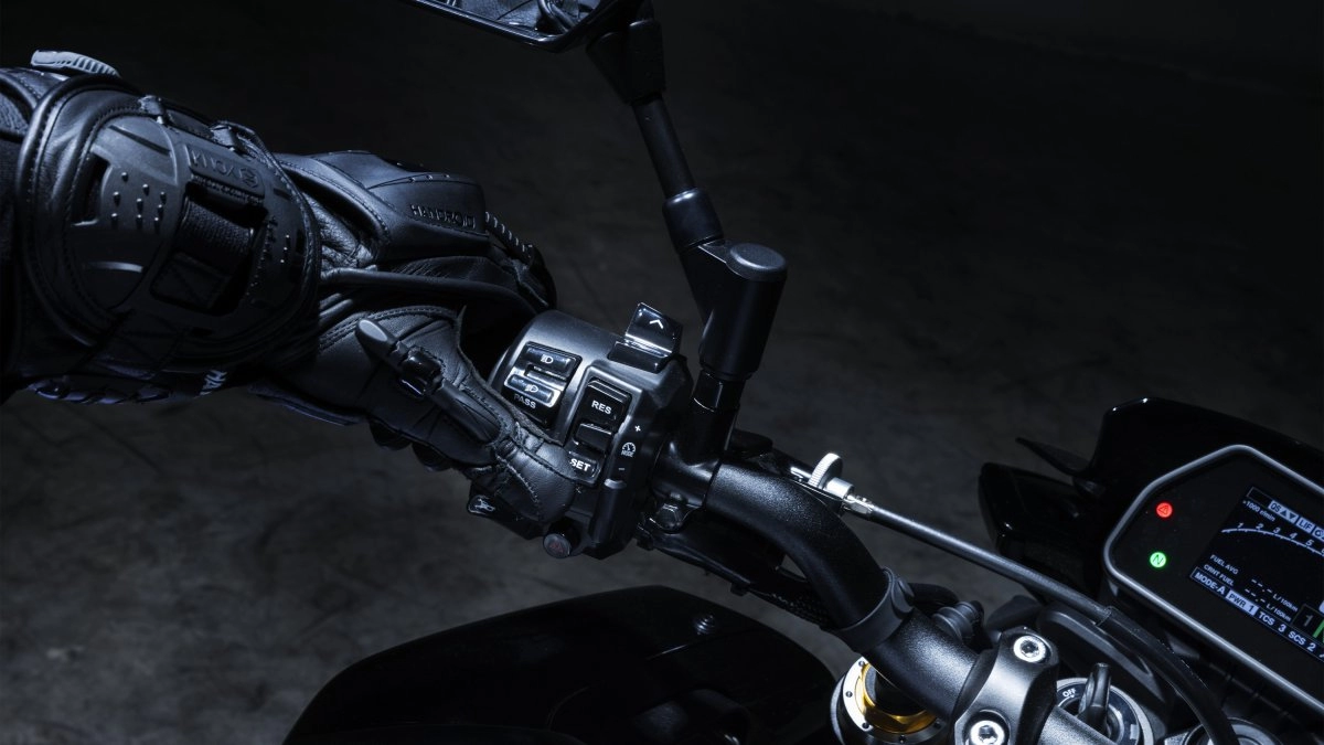 Cruise Control & Speed Limiter