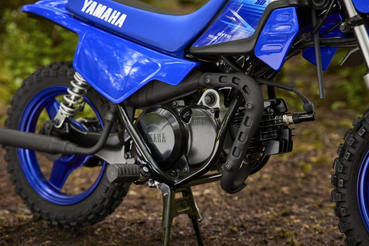 Entry-Level Two-Stroke Engine