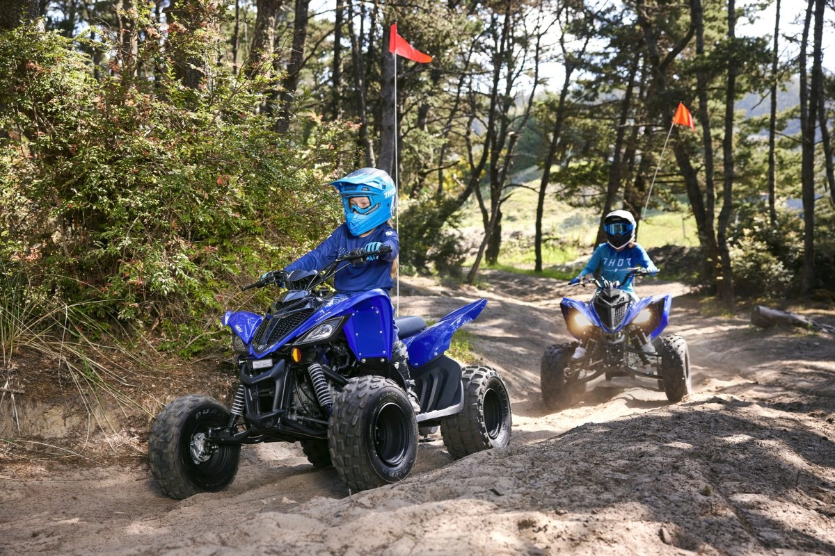 Compact, Sporty, & Confidence-Inspiring 112cc Engine