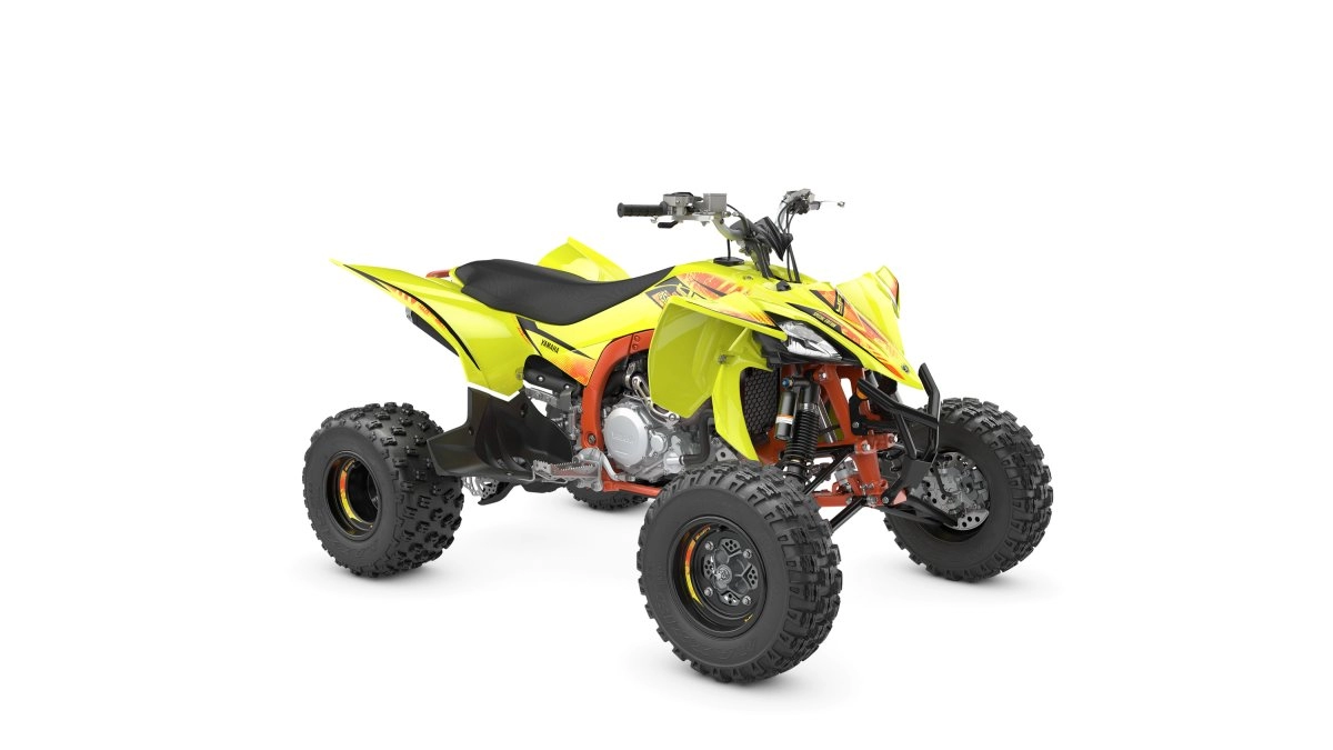 Assist & Slipper Clutch